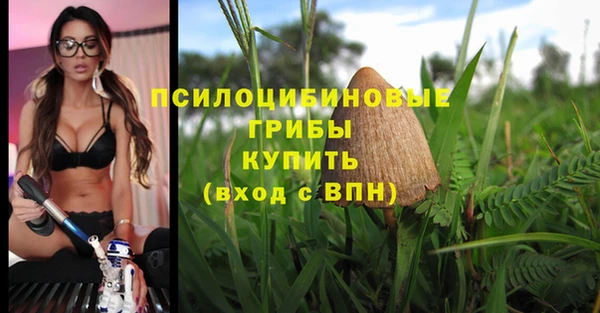 синтетический гашиш Арсеньев